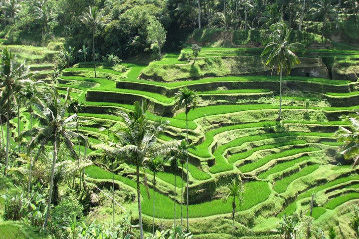 BEST BALI TOURS
