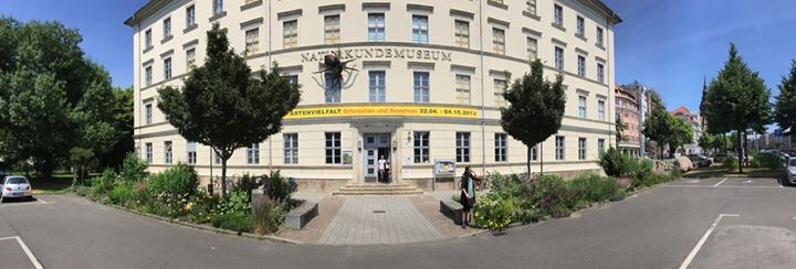 Naturkundemuseum Leipzig